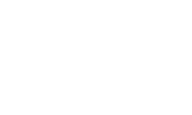 NUIR VINTAGE